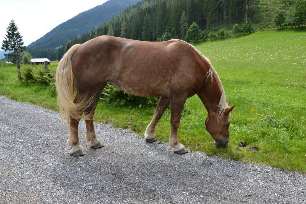 Schnoellhof Bed & Breakfast ซังต์ มาร์ติน อัม เทนเนนเกอเบียร์เกอ ภายนอก รูปภาพ